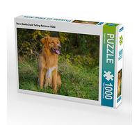 CALVENDO Puzzle Nova Scotia Duck Tolling Retriever Rüde 1000 pezzi Lege dimensioni 64 x 48 cm Foto Puzzle di Starick Sigrid