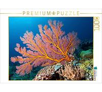 CALVENDO Puzzle Questo corallo a ventaglio si illumina alla luce del flash subacqueo 1000 pezzi Lege dimensioni 64 x 48 cm foto puzzle immagine di Niemann Ute