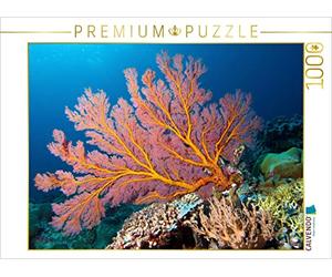 CALVENDO Puzzle Questo corallo a ventaglio si illumina alla luce del flash subacqueo 1000 pezzi Lege dimensioni 64 x 48 cm foto puzzle immagine di Niemann Ute