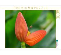 CALVENDO Puzzle Rote Blüte mit Biene 1000 Teile Puzzle quer | 1000 Teile Lege-Gr