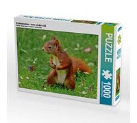 CALVENDO Puzzle scoiattolo - Imm nuovamente dolce 1000 pezzi Lege dimensioni 64 x 48 cm foto puzzle di N N