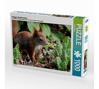 CALVENDO Puzzle scoiattolo pulito, 1000 pezzi, dimensioni 64 x 48 cm, foto puzzle immagine di SchnelleWelten