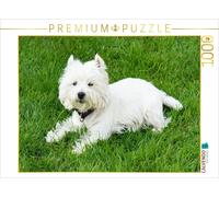 CALVENDO Puzzle Süßer West Highland White Terrier liegt im Gras | 1000 Teile Leg