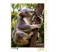CALVENDO Puzzle Un Koala si arrampica su un eucalipto 1000 pezzi 48 x 64 cm da Renate Bleicher