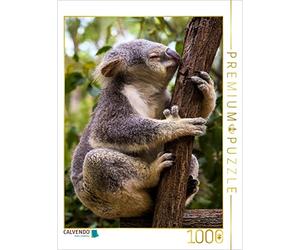 CALVENDO Puzzle Un Koala si arrampica su un eucalipto 1000 pezzi 48 x 64 cm da Renate Bleicher
