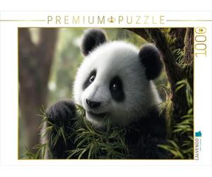 CALVENDO Puzzle una vita senza bambù - impensabile | 1000 pezzi Lege-Dimensioni 64 x 48 cm puzzle foto per ore felici