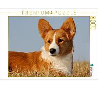 CALVENDO Puzzle Welsh Corgi - Folletto su 4 zampe, 1000 pezzi, dimensioni 64 x 48 cm