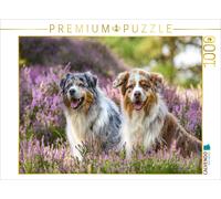 CALVENDO Puzzle Zwei Australian Shepherds sitzen strahlend in der lila Heideland