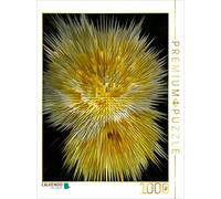 CALVENDO Rosemarie Hofer - Puzzle Flower Explosion I Photo Art° by Rosemarie Hofer, 1000 pezzi, dimensioni 48 x 64 cm