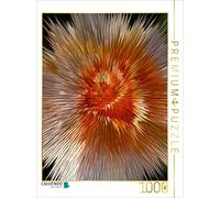 CALVENDO Rosemarie Hofer - Puzzle Flower Explosion III Photo Art° by Rosemarie Hofer, 1000 pezzi, dimensioni 48 x 64 cm
