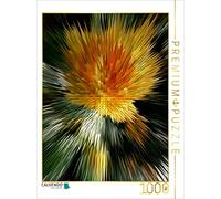 CALVENDO Rosemarie Hofer - Puzzle Flower Explosion X Photo Art V Photo Art° by Rosemarie Hofer, 1000 pezzi, dimensioni 48 x 64 cm