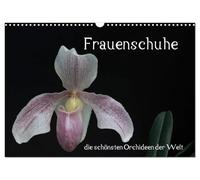CALVENDO - Scarpe da donna - le più belle orchidee del mondo (calendario da parete 2027 DIN A3 orizzontale), calendario mensile: scarpe da donna - le orchidee più belle del mondo