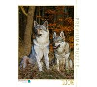 CALVENDO Sista - Puzzle da 1000 pezzi, dimensioni 48 x 64 cm