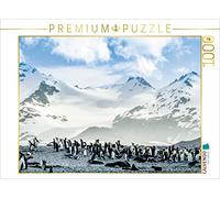 CALVENDO- Steinwald Max-Puzzle Fotografico, Motivo: Pinguino Colonia, 1000 Pezzi, Colore Bianco, Teile, 4059478962224