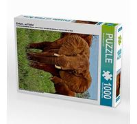 CALVENDO Susan Michel - Puzzle a forma di elefante, 1000 pezzi, dimensioni 48 x 64 cm