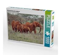 CALVENDO Susan Michel - Puzzle con animali giovani, 1000 pezzi, dimensioni 64 x 48 cm