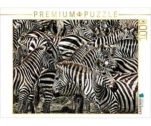 CALVENDO Susan Michel - Puzzle con zebre, 1000 pezzi, dimensioni 64 x 48 cm
