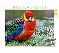 CALVENDO Uwe Bergwitz - Puzzle da 1000 pezzi, dimensioni 64 x 48 cm