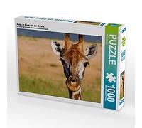 CALVENDO Wibke Woyke - Puzzle a forma di occhio con giraffa, 1000 pezzi, dimensioni 64 x 48 cm
