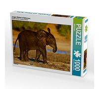 CALVENDO Wibke Woyke - Puzzle con elefante in Botswana, 1000 pezzi, dimensioni 64 x 48 cm