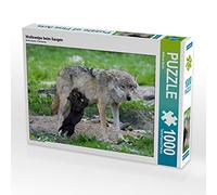 CALVENDO Wilfried Martin - Puzzle da 1000 pezzi, 64 x 48 cm