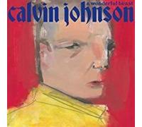 Calvin Johnson - A Wonderful Beast