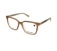 Calvin Klein CK22540 259