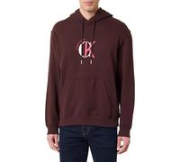 Calvin Klein Felpa con Cappuccio da Uomo LS EU 350TERRY Grafica LV04RE255G, Marrone (Rich Brown), M, Marrone (Rich Brown), M