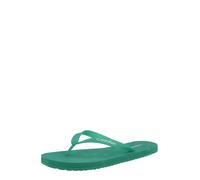 Calvin Klein Beach Thong Slide Hm0hm02105, Infradito Uomo, Green (Enchanted Forest), 43 EU