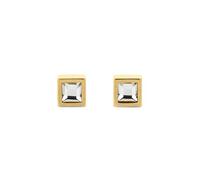Calvin Klein Essential Links Earrings Oro Uomo