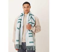 Calvin Klein - Sciarpa spazzolata in lana verde menta con logo grande One Size