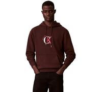 Calvin Klein Uomo Felpa con Cappuccio Terry Graphic con Tasca a Marsupio, Marrone (Rich Brown), XL