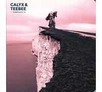 Various Artists – Fabriclive 76: Mixato da Calyx & Teebee – CD