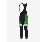 Calzamaglia Bardiani CSF Faizanè Pro Team 2023 Prime verde nero - XL