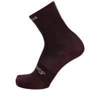 Calze ciclismo Eroica Quiete bordeaux M