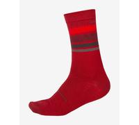 Calze Endura Stripe BaaBaa Merino rosso scuro - S-M