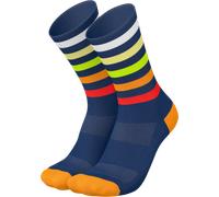 Calze INCYLENCE INCYLENCE Levels Socks 4262404076616 in taglia 47-50 EU