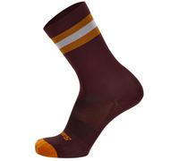 Calze Santini Bengal - Bordeaux 36-39 / Rosso