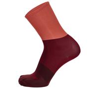 Calze Santini Big Bengal - Bordeaux 36-39 / Rosso