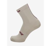 Calze Santini x Eroica Quiete bianco bordeaux - M-L