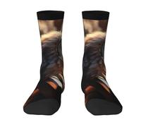 Calzini A Metà Polpaccio Owl Plays Piano Calze Ciclismo Elastico Socks Calcio Traspirante Calzini Sportivi Per Marito Anniversario Palestra 40CM