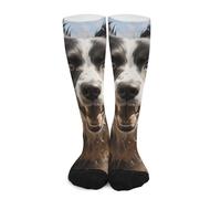 Calzini Calcio Pastor Border Collie Comodi Calze Corte Elasticità Calze Trekking Per Ciclismo Yoga Tennis 50Cm