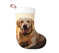 Calzini decorativi natalizi WHJDPP Labrador Retriever Dog Picture Home Decoration Soft and Comfortable for Office Christmas Tree Fireplace