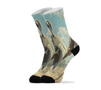 Calzini Koala Selvatico Sul Ramo Antiodore Elasticizzato Calze Adatte Calzini Sportive Per Outdoor Donna Running