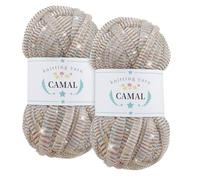 CAMAL 2 Pezzi Fettuccia per Borse a Uncinetto, Scintilla Fettuccia da Poliestere Tessuto 100g/60m Filato Grosso Lusso per Borse, Coperta, Stoffa, Artigianato Fai Da Te (Colorato)