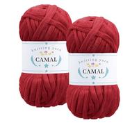 CAMAL 2 Pezzi Fettuccia per Borse a Uncinetto, Scintilla Fettuccia da Poliestere Tessuto 100g/60m Filato Grosso Lusso per Borse, Coperta, Stoffa, Artigianato Fai Da Te (Rosso)