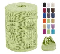 CAMAL Raffia Filato per Uncinetto di Borse, 2mm x 300m Rafia per Uncinetto per Borse, Morbido Filo di Carta per Cappelli, Maglia Borsa da Spiaggia, Fai Da Te (Verde chiaro)
