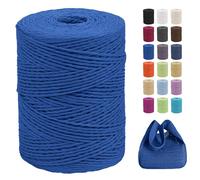 CAMAL Raffia Filato per Uncinetto di Borse, 2mm x 300m Rafia per Uncinetto per Borse, Morbido Filo di Carta per Cappelli, Maglia Borsa da Spiaggia, Fai Da Te (Blu reale)