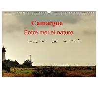 Camargue Entre mer et nature (Calendrier mural 2026 DIN A3 vertical), CALVENDO calendrier mensuel: Au coeur de la Camargue, entre mer et marais salants.