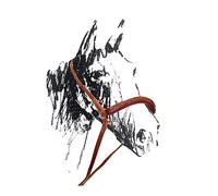 CAMARRA MAREMMANA NOSEBAND WITH TIE DOWN MAREMMA MOUNT